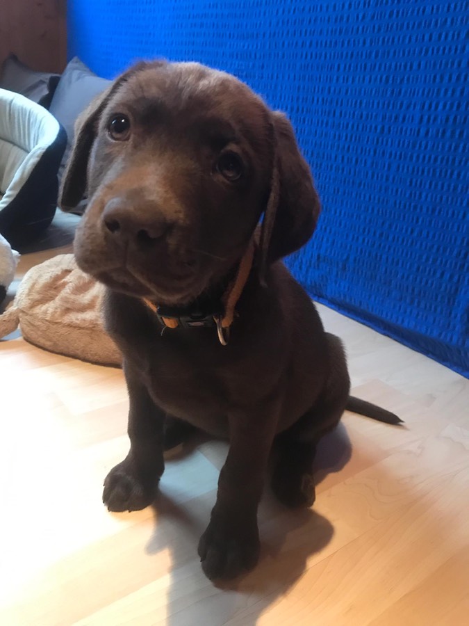 15a62d14-52a5-402a-abf6-2c19fa2e7ac8