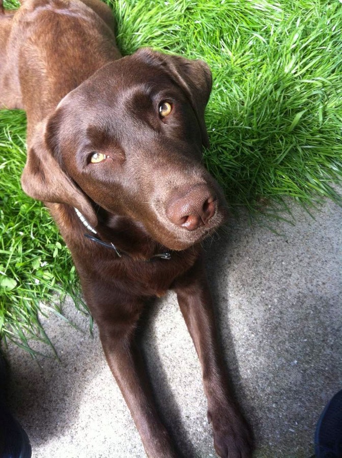 38b9af19-84d4-41f3-80fb-9858a812d5ed