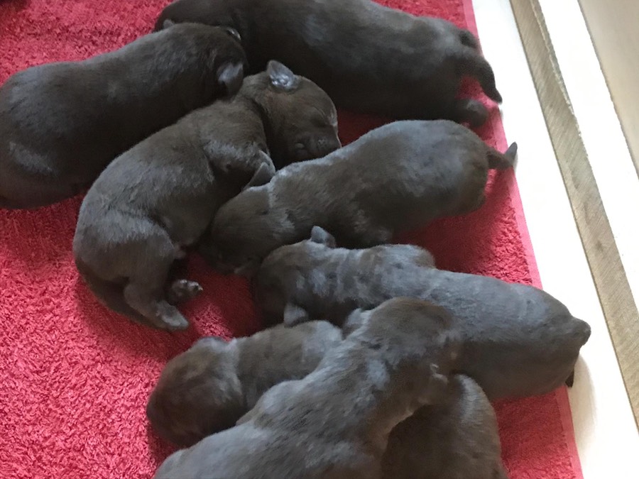 bab12944-5a4c-4bcf-b2b5-e17049dd2de8