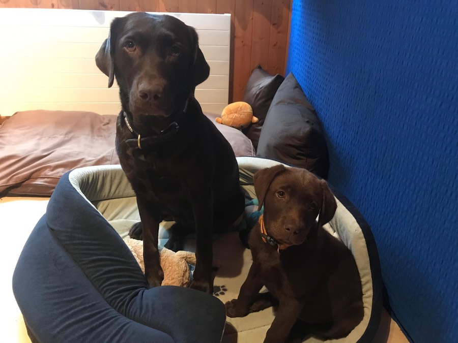 d4ed7617-c3c8-4cd5-b472-1260a96bf06a